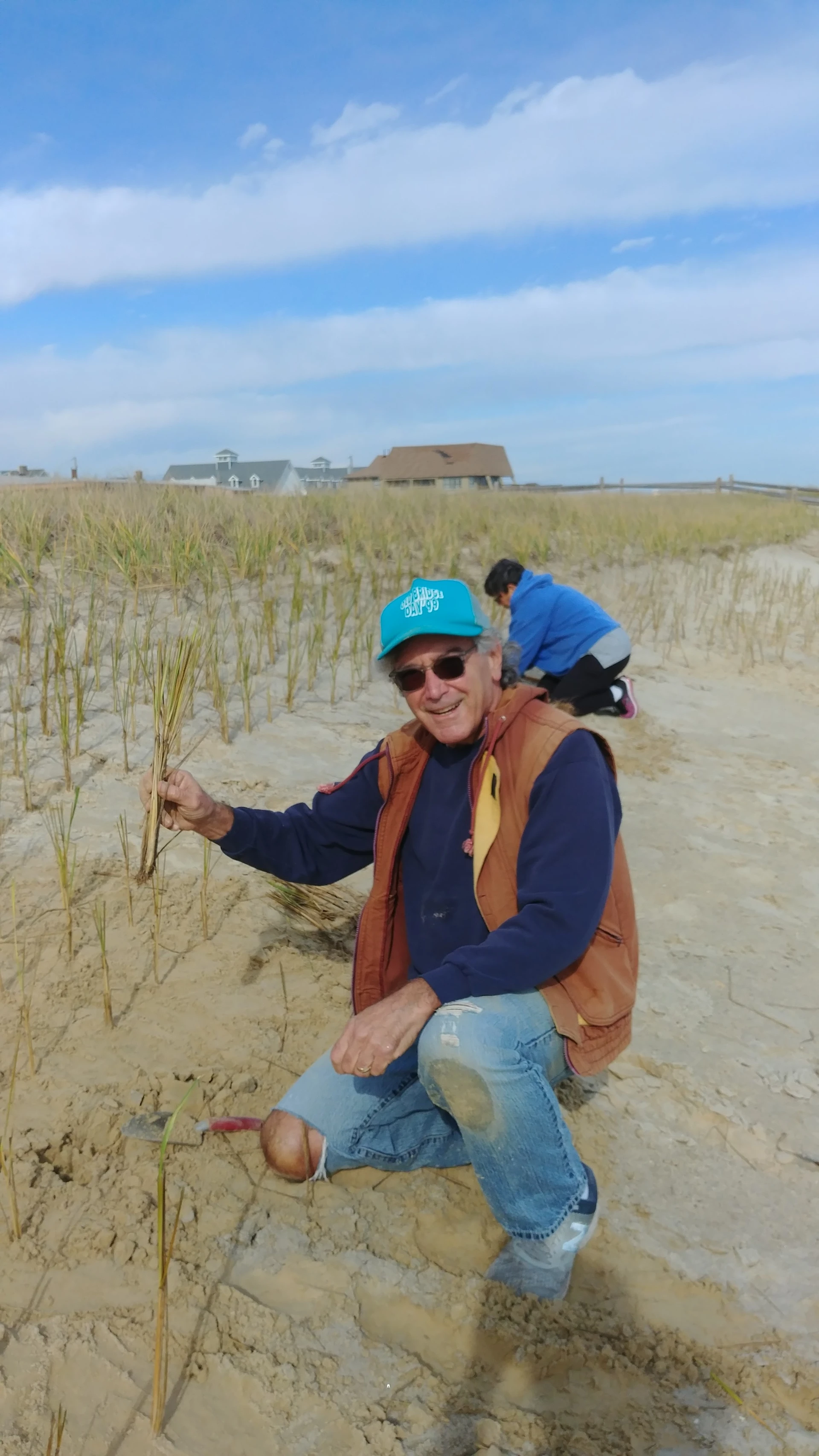 Coastal dune grass in Toms River, representing storm recovery and environmental resilience efforts